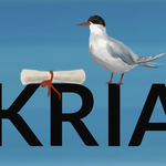KRIA - The Icelandic Constitution Archives